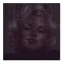 Marilyn Playboy #1