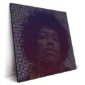 Hendrix Star #2