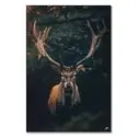 Moody Deer #1