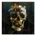 Kingdom Skull #1