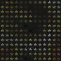 Marley #4