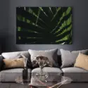 Lazy Day #4