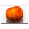 Peaches 'n Cream #1