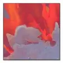 Red Burst #1