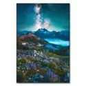 Starry Alpine Dreamland #1