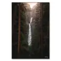 Falling Between the Trees #1