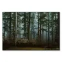 Moody Woods #1