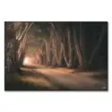 Tree Tunnel #1