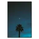 Midnight Moon #1