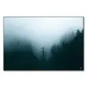 Winter Forest Fog #1