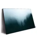Winter Forest Fog #2
