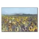 Sunflower Fields #1