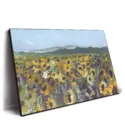 Sunflower Fields #2