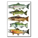 Five Fish #1