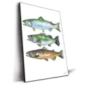 Three Fish #2