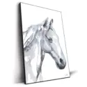 Horse #2