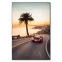 Malibu Cruise #1