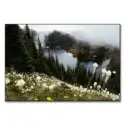 Wildflower Overlook #1