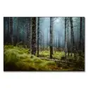 Wooded Escape #1