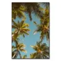 Palm Tree Sky #1