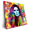 Colorful Cher #2