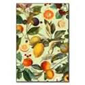 Vintage Fruit Pattern XIII #1
