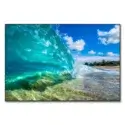 Tropical Shore Break #1