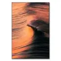 Sunrise Curl #1
