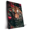Jungle Cat #2