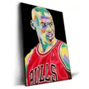 Fluid Jordan #2