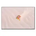 Cheez-It White Sands #1