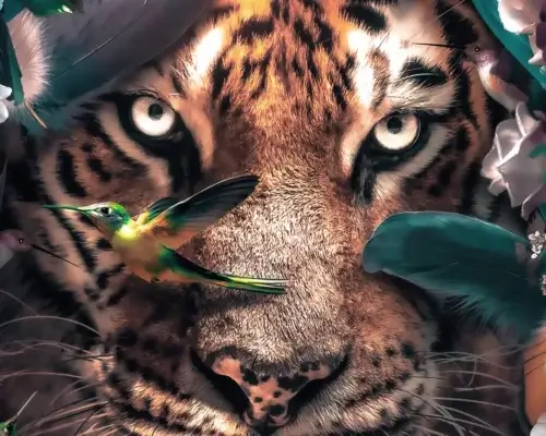 Animal