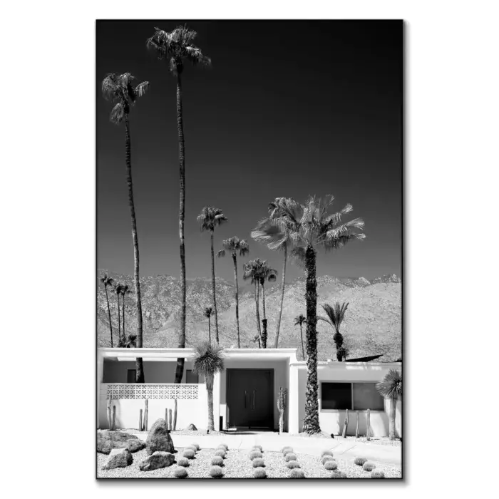 Palm Springs Midcentury Modern