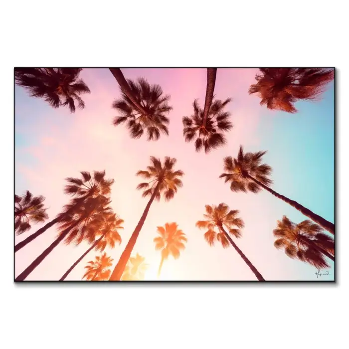 Beverly Hills Sunset Palms