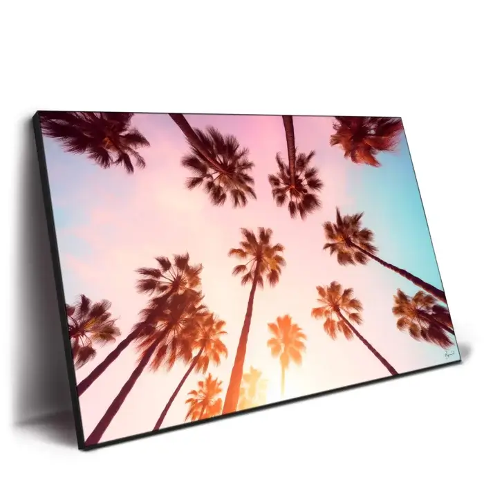 Beverly Hills Sunset Palms