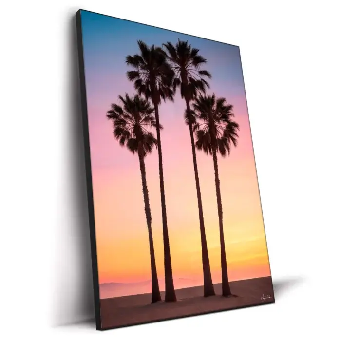 Beach Sunset Palms