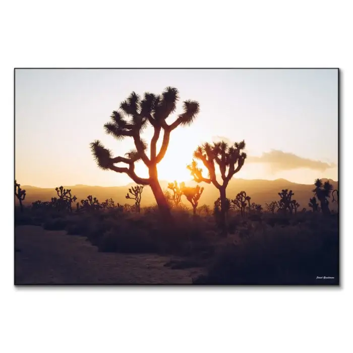 Desert Sunrise