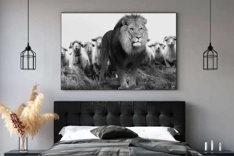 Extra large horizontal black and white photo of lion standing in front of flock of sheep hangs on white wall in modern black and white bedroom.