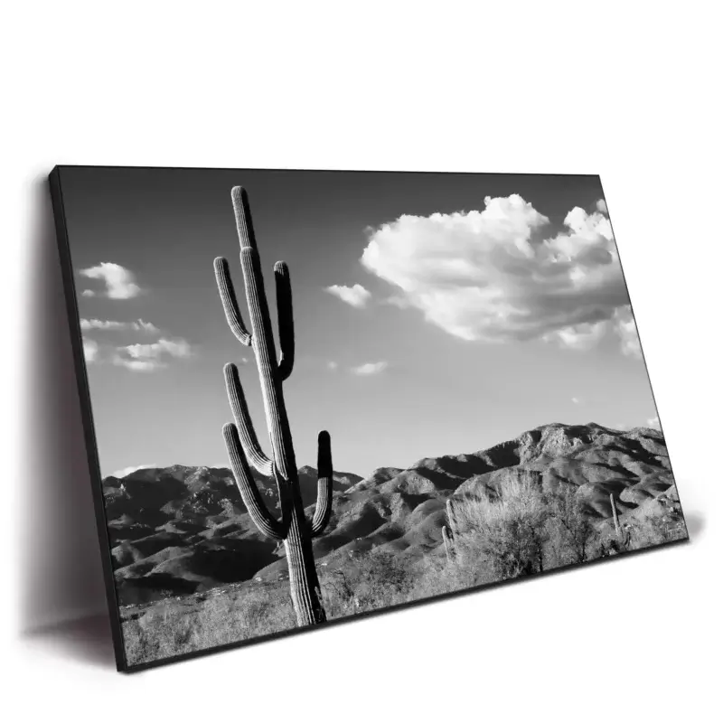 Saguaro Cactus Sunrise Black and White Wall Decor by Philippe HUGONNARD