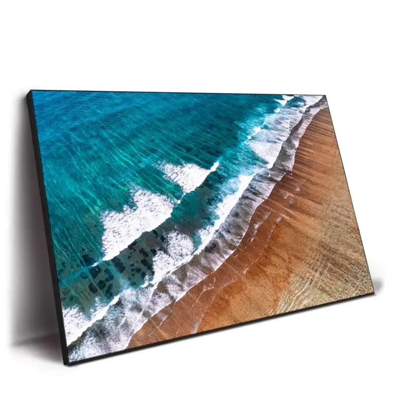 Coral Reef Beach Wall Decor by Philippe HUGONNARD