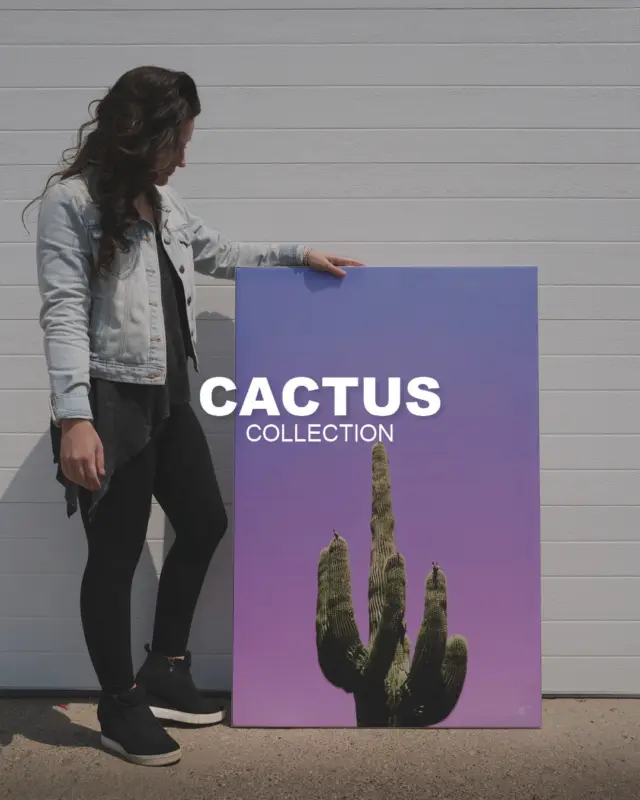 Cactus - Image #1