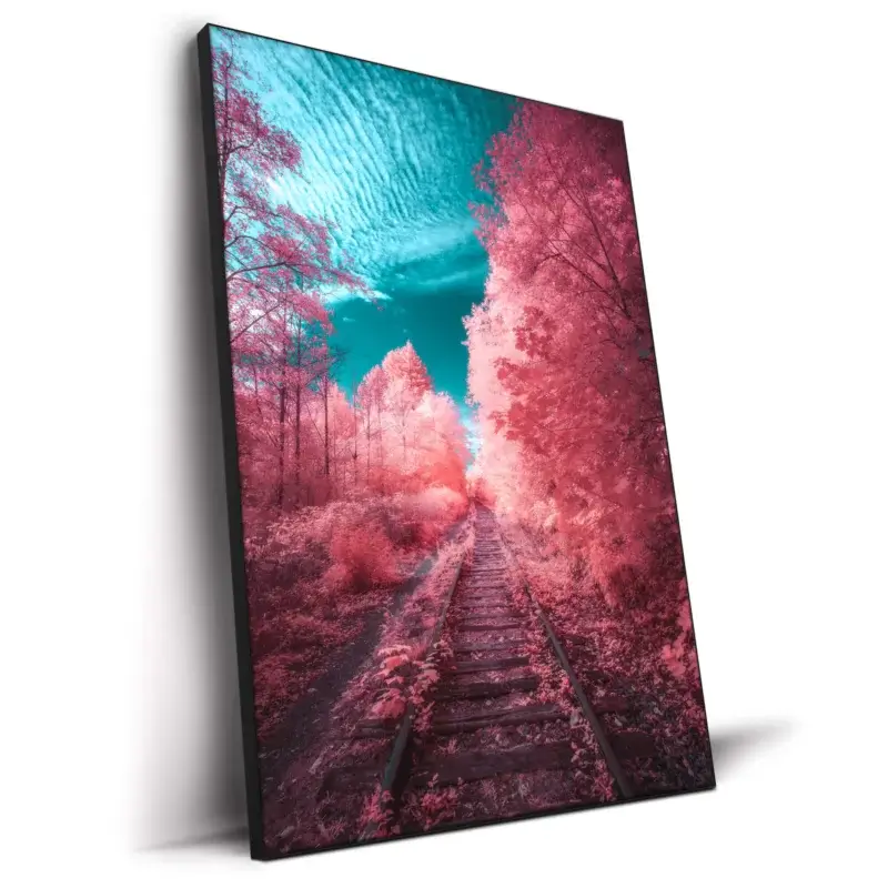 Fairytale Express Vibrant Wall Decor by Zach Doehler