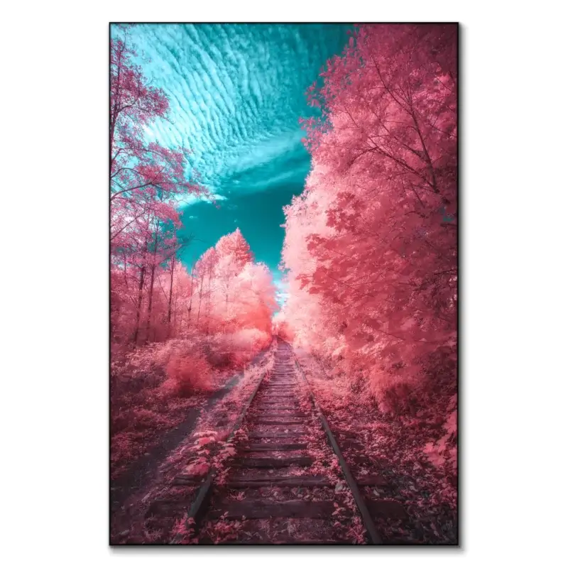 Fairytale Express Vibrant Wall Art by Zach Doehler