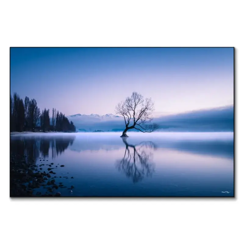Wanaka Tree Vibrant Wall Art by Michael Meyers