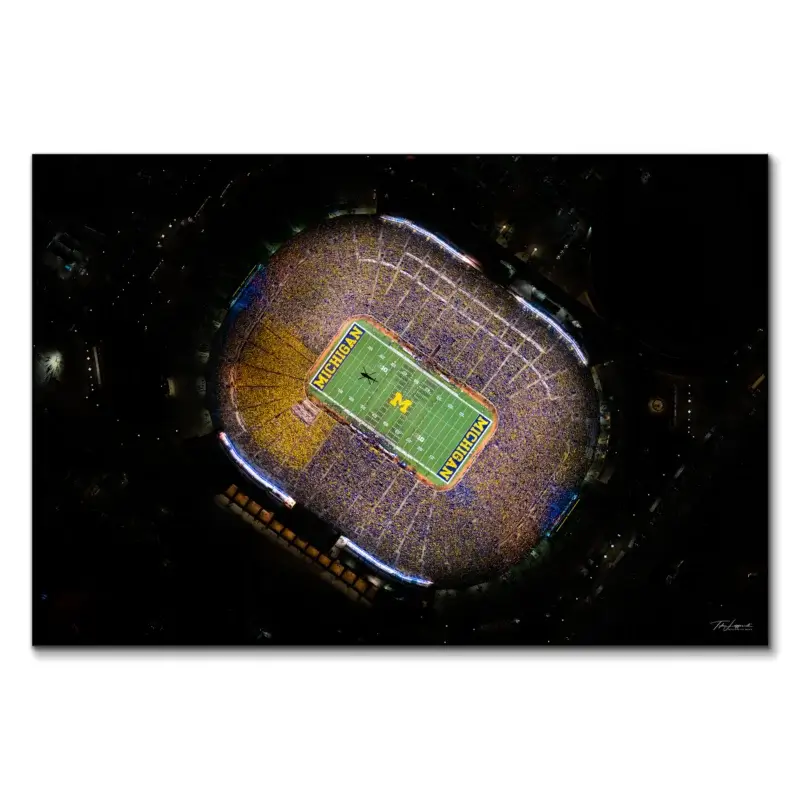 The Money Shot Dark Wall Art by Michigan Sky Media
