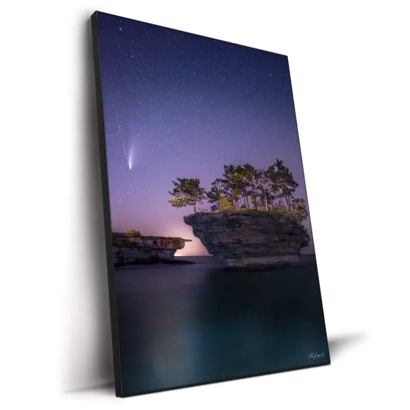 Comet Neowise Vibrant Wall Decor by Michigan Sky Media