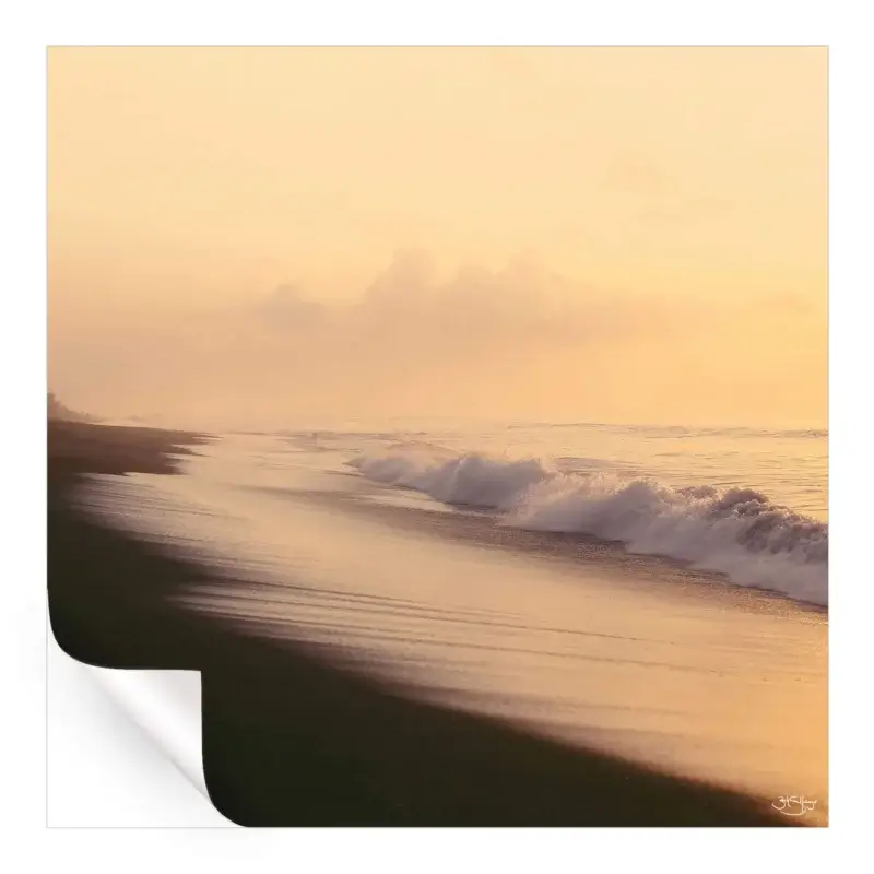 Golden Sunrise Warm Wall Art by Zachary Snellenberger
