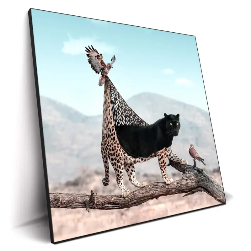 The Molt Cool Wall Decor by Julien Tabet