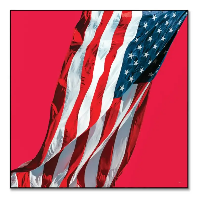 Red American Flag Boy Wall Art