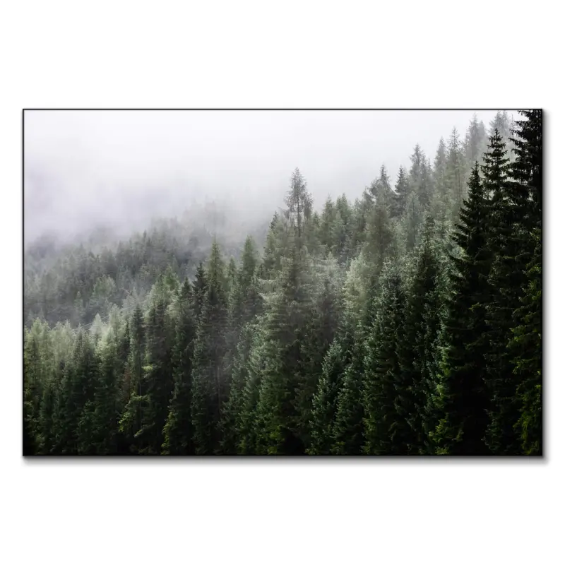 Misty Mountain Top Green Wall Art by The Jackson Collective